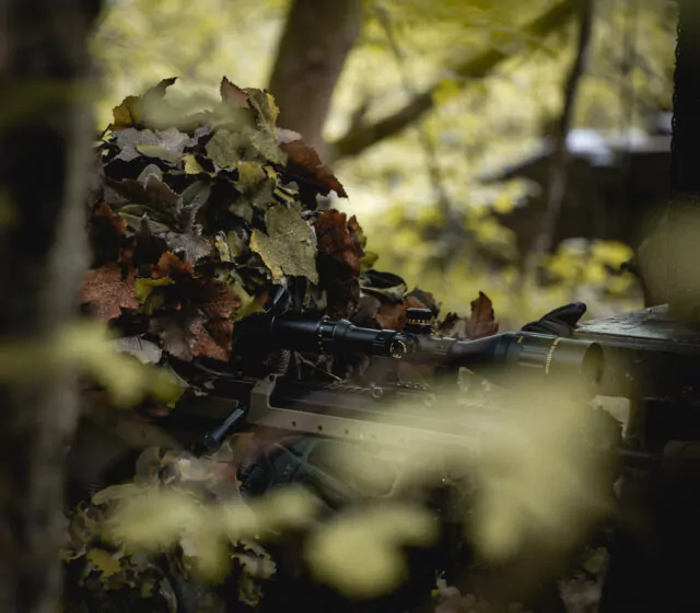 sascha airsoft team tigers 3